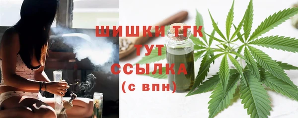 дживик Балахна