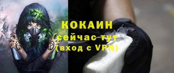 мяу мяу мука Медвежьегорск