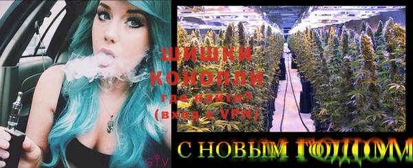 дживик Балахна