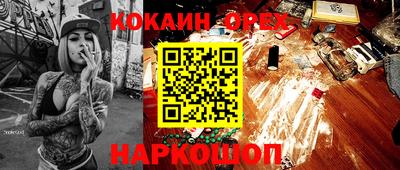 ГАЛЛЮЦИНОГЕННЫЕ ГРИБЫ Кингисепп