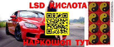 ГАЛЛЮЦИНОГЕННЫЕ ГРИБЫ Кингисепп