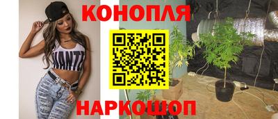 ГАЛЛЮЦИНОГЕННЫЕ ГРИБЫ Кингисепп