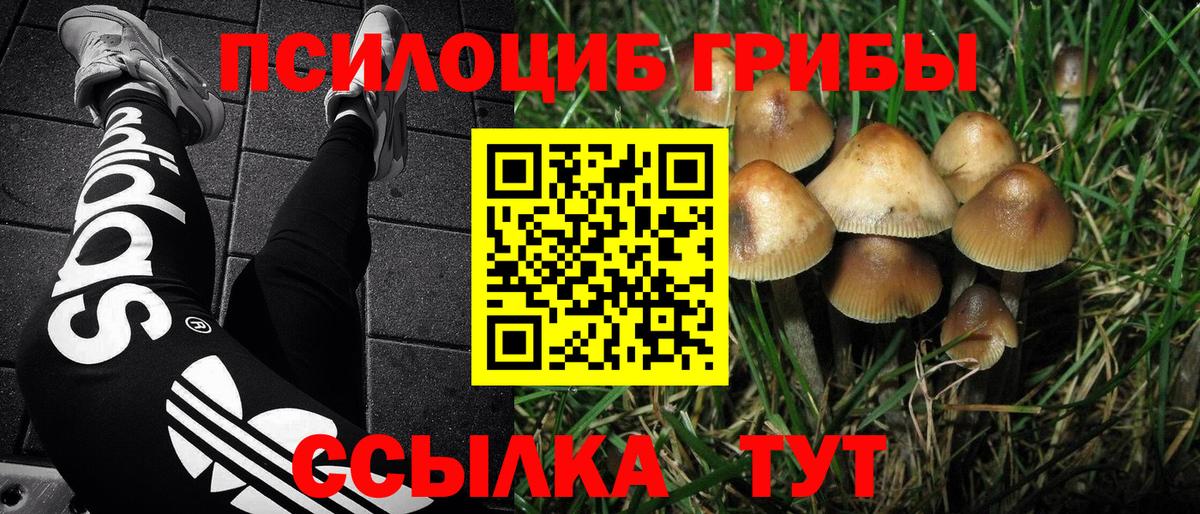 Галлюциногенные грибы GOLDEN TEACHER Бирск