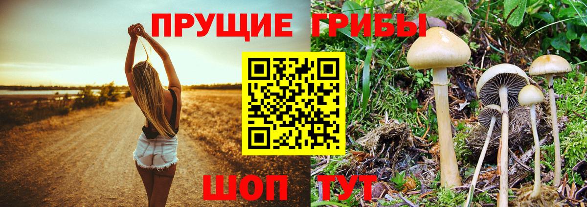 Псилоцибиновые грибы MAGIC MUSHROOMS  Вход с VPN  Бирск 